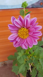 20190322_112518.jpg