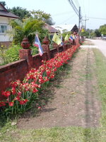 35347833qv.jpg