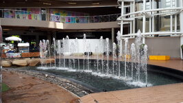 20190402_150922.jpg