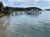 D6462030-12BD-4FA1-A21C-58B403E793BE.jpeg