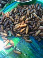 IMG-20190326-WA0007.jpg