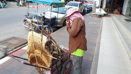 20190326_161608.jpg