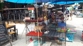 20190326_141826.jpg