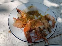 86D1D207-DFCD-46EF-8BEA-D9A098BD3643.jpeg