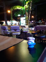 20190408_223237.jpg