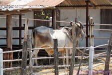 DSC08815.JPG