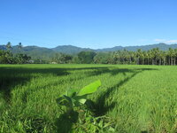 IMG_6218.jpg