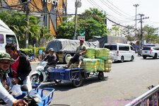 DSC09538.JPG