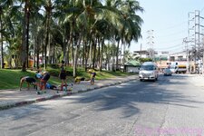 DSC00297.JPG