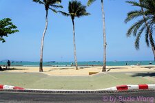 DSC00447.JPG