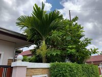 09936275-0EA1-40B1-9B89-6E4018918464.jpeg