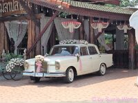 IMG_3806.JPG