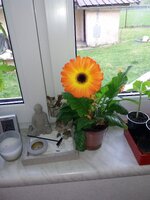 20190502_153146.jpg