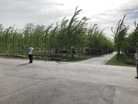 7D5DA07E-900D-4164-A5AB-8831E9F2130B.jpeg