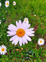 IMG_20190524_203121-EFFECTS.jpg