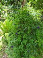 20190521_124357.jpg