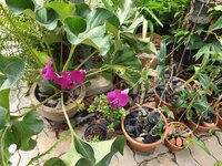 20190521_124448.jpg