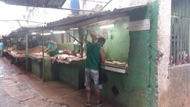 2017_Kuba_20171219_072732_1024.jpg 2017_Kuba_20171219_072732_1024.jpg