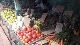 2017_Kuba_20171219_082619_1024.jpg 2017_Kuba_20171219_082619_1024.jpg