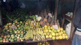 2017_Kuba_20171219_082709_1024.jpg 2017_Kuba_20171219_082709_1024.jpg