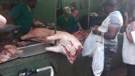 2017_Kuba_20171219_082955_1024.jpg 2017_Kuba_20171219_082955_1024.jpg