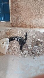 2017_Kuba_20171220_105157_1024.jpg 2017_Kuba_20171220_105157_1024.jpg