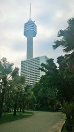 IMG_20181127_091731.jpg