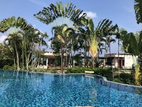 IMG_3568.jpeg IMG_3568.jpeg