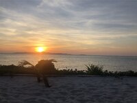 IMG_3640.jpeg IMG_3640.jpeg