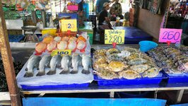 IMG_20181126_103132.jpg