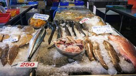 IMG_20181126_104422.jpg