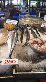 IMG_20181126_104452.jpg