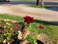 20190521_074256.jpg