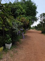 20190521_124518.jpg