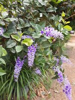 20190521_124525.jpg