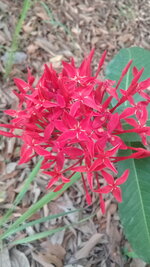 20190521_073714.jpg