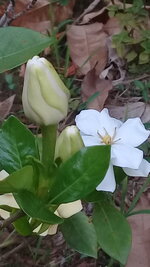 20190521_074330.jpg