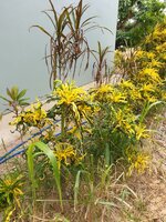 20190521_124658.jpg