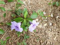 20190522_103619.jpg