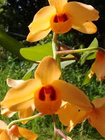 20180525_155310.jpg