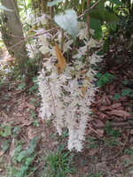 20180414_134644.jpg
