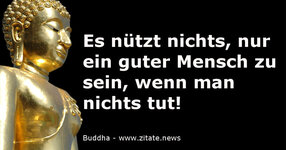 Spruch-Buddha-800x420.jpg