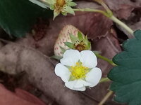20180327_090717.jpg
