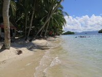 IMG_3878.jpg