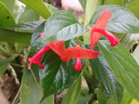 20171125_093305.jpg