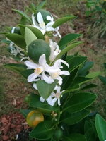 20171128_065140.jpg