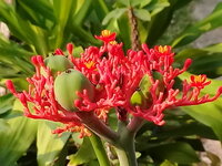 20180319_164533.jpg