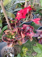 20180319_164747.jpg