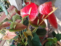 20180319_160817.jpg