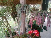 20180320_090245.jpg